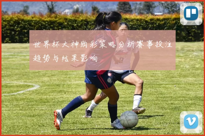 世界杯大神购彩策略分析赛事投注趋势与结果影响