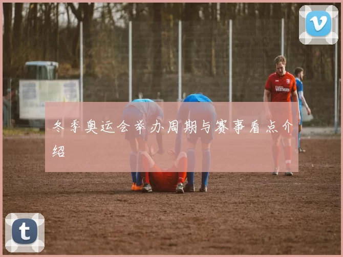 冬季奥运会举办周期与赛事看点介绍