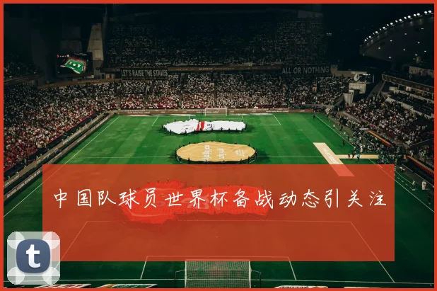 中国队球员世界杯备战动态引关注
