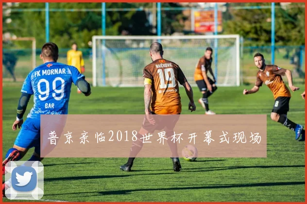 普京亲临2018世界杯开幕式现场