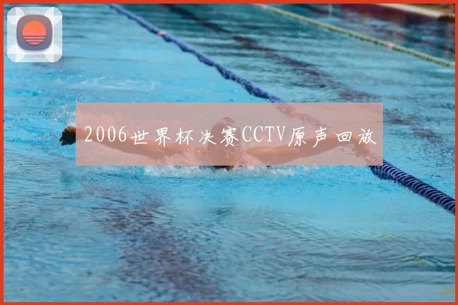 2006世界杯决赛CCTV原声回放